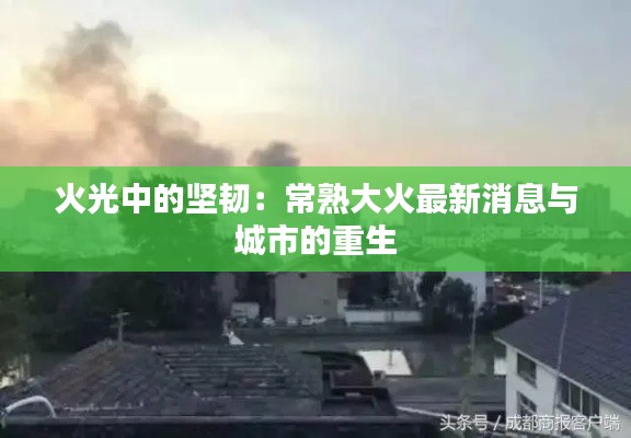 火光中的坚韧：常熟大火最新消息与城市的重生