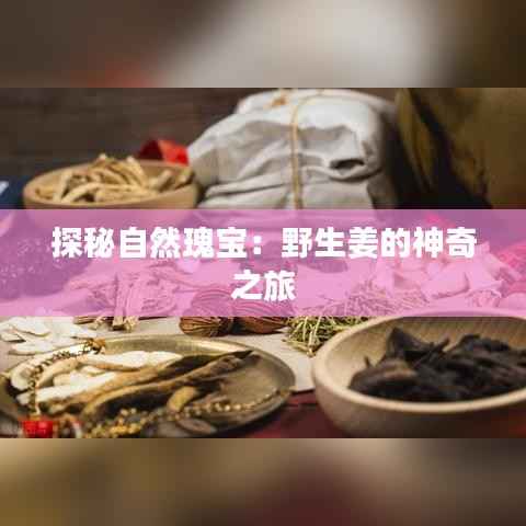 探秘自然瑰宝：野生姜的神奇之旅