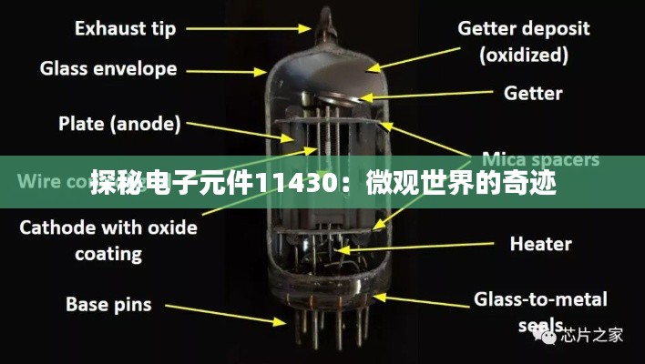 探秘电子元件11430：微观世界的奇迹