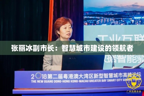 张丽冰副市长：智慧城市建设的领航者