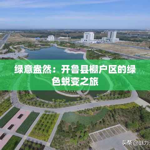 绿意盎然：开鲁县棚户区的绿色蜕变之旅