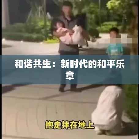 和谐共生：新时代的和平乐章