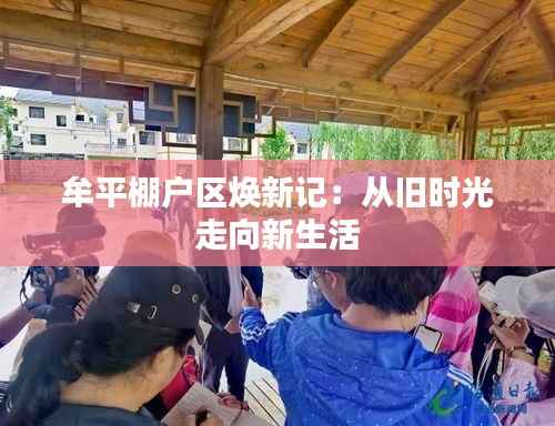 联系方式 第486页