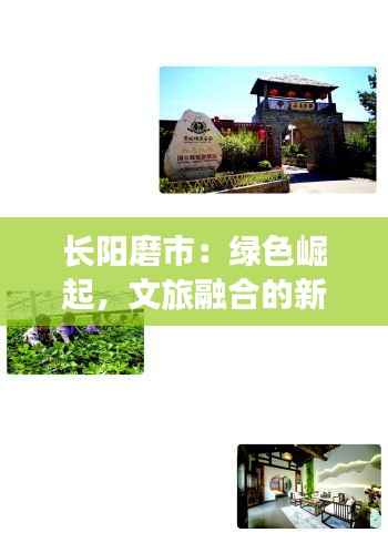 其他配件采购 第493页