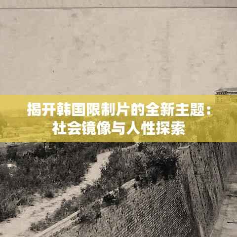 揭开韩国限制片的全新主题：社会镜像与人性探索
