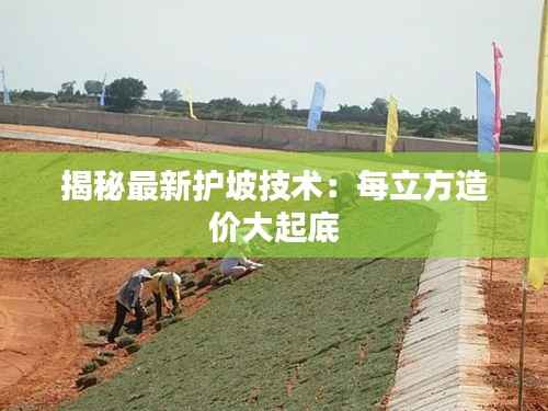 揭秘最新护坡技术：每立方造价大起底