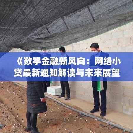 《数字金融新风向：网络小贷最新通知解读与未来展望》