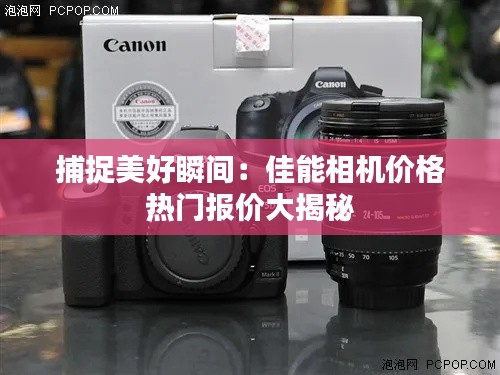 公司介绍 第495页