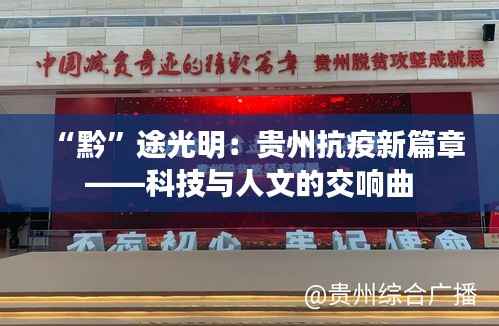 “黔”途光明：贵州抗疫新篇章——科技与人文的交响曲