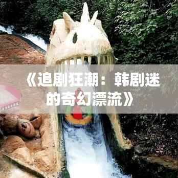 《追剧狂潮：韩剧迷的奇幻漂流》