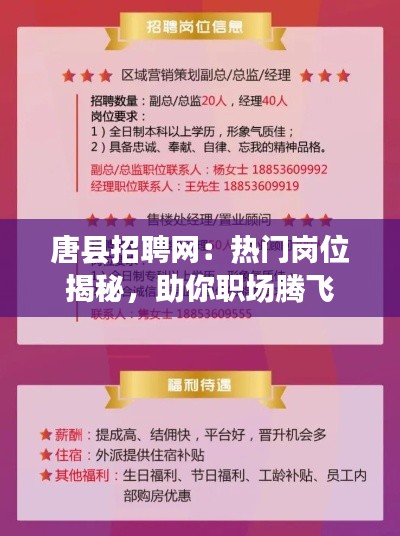 唐县招聘网：热门岗位揭秘，助你职场腾飞