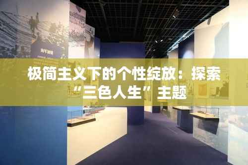 极简主义下的个性绽放：探索“三色人生”主题