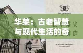 华莱：古老智慧与现代生活的奇妙融合