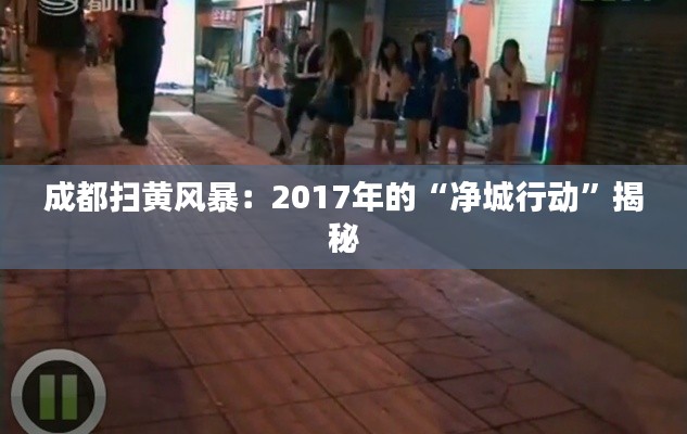 成都扫黄风暴：2017年的“净城行动”揭秘