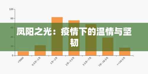 凤阳之光：疫情下的温情与坚韧