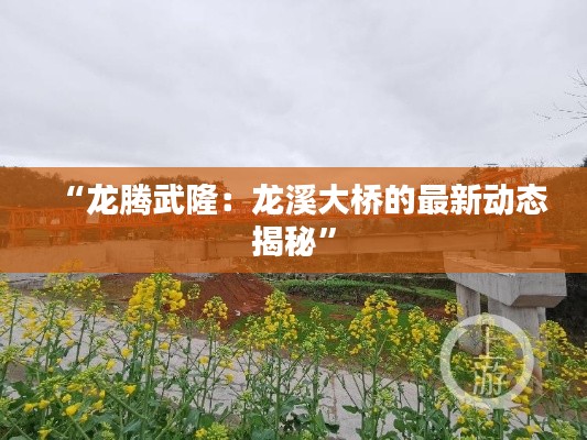 “龙腾武隆：龙溪大桥的最新动态揭秘”