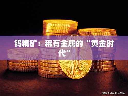 钨精矿：稀有金属的“黄金时代”