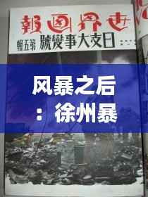 风暴之后：徐州暴力事件的深度解析与反思