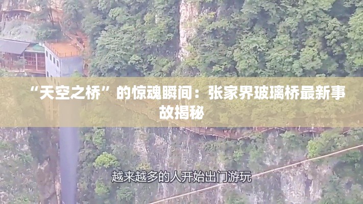 “天空之桥”的惊魂瞬间：张家界玻璃桥最新事故揭秘