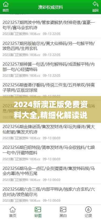 2024新澳正版免费资料大全,精细化解读说明_户外版110.456