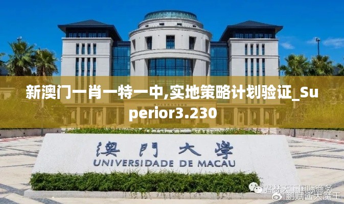 新澳门一肖一特一中,实地策略计划验证_Superior3.230
