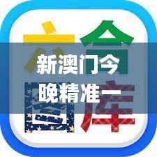 新澳门今晚精准一肖,实地验证策略方案_soft3.732