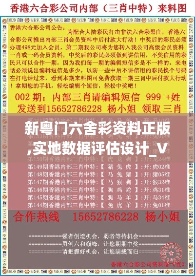 新粤门六舍彩资料正版,实地数据评估设计_V2.765