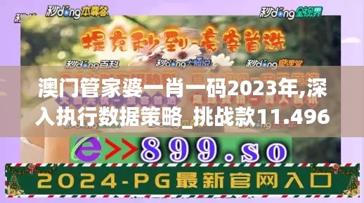 澳门管家婆一肖一码2023年,深入执行数据策略_挑战款11.496