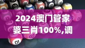 2024澳门管家婆三肖100%,调整计划执行细节_苹果版16.911-1