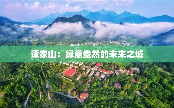 谭家山：绿意盎然的未来之城