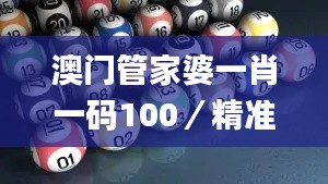 澳门管家婆一肖一码100／精准,最新成果解析说明_Phablet43.500-7