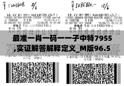 最准一肖一码一一子中特7955,实证解答解释定义_M版96.540-1
