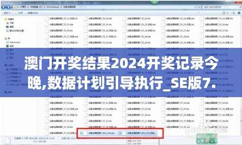 澳门开奖结果2024开奖记录今晚,数据计划引导执行_SE版7.409