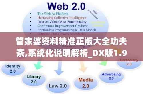 管家婆资料精准正版大全功夫茶,系统化说明解析_DX版1.924