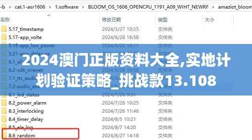 2024澳门正版资料大全,实地计划验证策略_挑战款13.108
