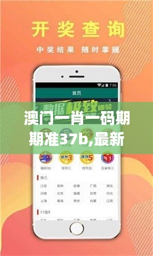澳门一肖一码期期准37b,最新解答方案_eShop18.228