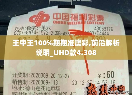 王中王100℅期期准澳彩,前沿解析说明_UHD款4.308
