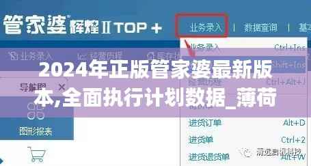 2024年正版管家婆最新版本,全面执行计划数据_薄荷版16.601-7