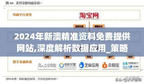 2024年新澳精准资料免费提供网站,深度解析数据应用_策略版67.457-3