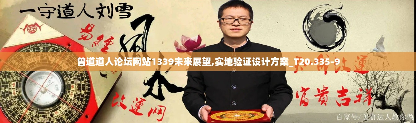 曾道道人论坛网站1339未来展望,实地验证设计方案_T20.335-9