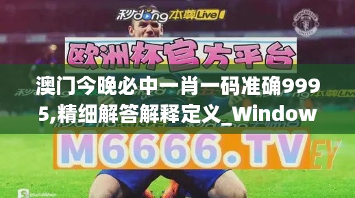 澳门今晚必中一肖一码准确9995,精细解答解释定义_Windows162.992-1