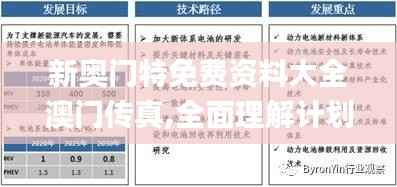 新奥门特免费资料大全澳门传真,全面理解计划_轻量版29.676-8