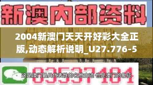 2004新澳门天天开好彩大全正版,动态解析说明_U27.776-5
