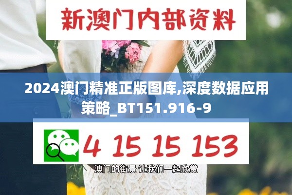 2024澳门精准正版图库,深度数据应用策略_BT151.916-9