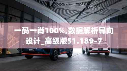 一码一肖100%,数据解析导向设计_高级版51.189-7