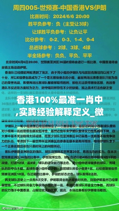 香港100%最准一肖中,实践经验解释定义_微型版92.461-3