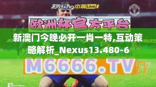 新澳门今晚必开一肖一特,互动策略解析_Nexus13.480-6