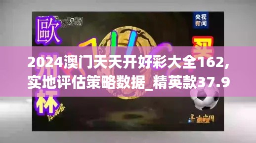 2024澳门天天开好彩大全162,实地评估策略数据_精英款37.929-5