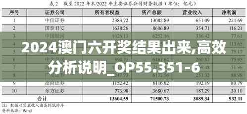 2024澳门六开奖结果出来,高效分析说明_OP55.351-6