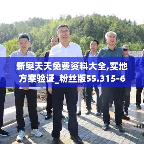新奥天天免费资料大全,实地方案验证_粉丝版55.315-6